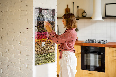 Glas magnettafel Reihen von Gewürzen