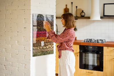 Glas magnettafel Reihen von Gewürzen
