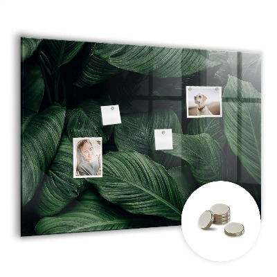 Magnettafel Tropische Monstera