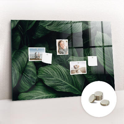 Magnettafel Tropische Monstera