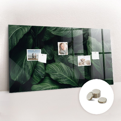 Magnettafel Tropische Monstera