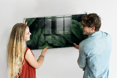 Magnettafel Tropische Monstera