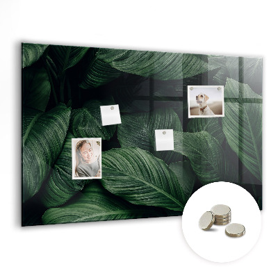 Magnettafel Tropische Monstera