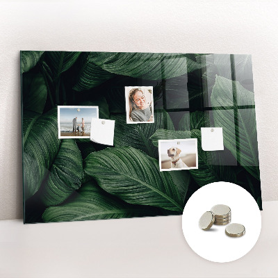 Magnettafel Tropische Monstera