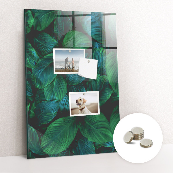 Magnettafel Große tropische Blätter