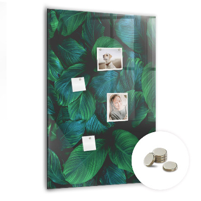Magnettafel Große tropische Blätter