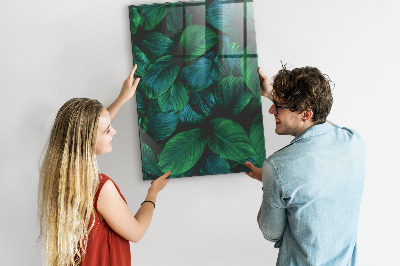 Magnettafel Große tropische Blätter