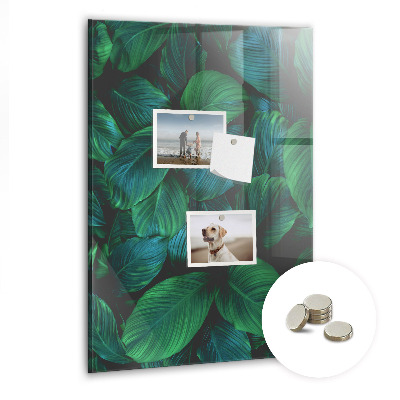 Magnettafel Große tropische Blätter