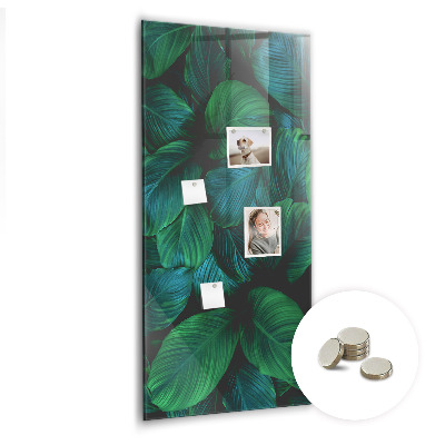Magnettafel Große tropische Blätter