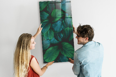 Magnettafel Große tropische Blätter