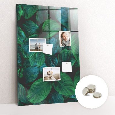 Magnettafel Große tropische Blätter