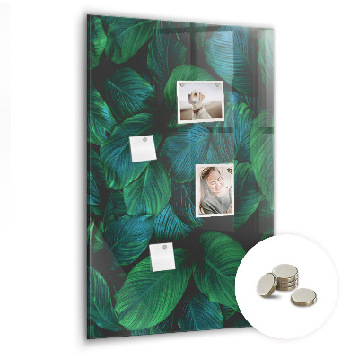 Magnettafel Große tropische Blätter
