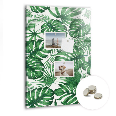 Magnettafel Monstera-Pflanzenblätter