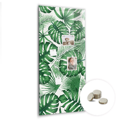 Magnettafel Monstera-Pflanzenblätter