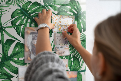 Magnettafel Monstera-Pflanzenblätter