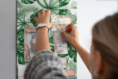 Magnettafel Monstera-Pflanzenblätter