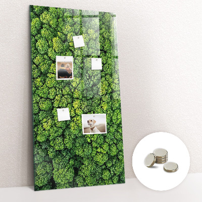 Magnettafel Waldbäume Natur