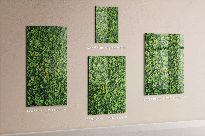 Magnettafel Waldbäume Natur