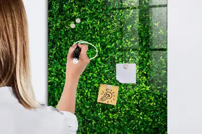 Magnettafel beschreibbar mit Blätterzaun-Design