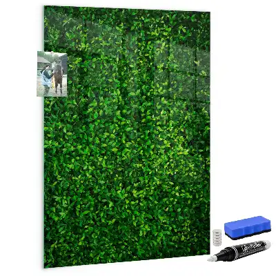 Magnettafel beschreibbar mit Blätterzaun-Design