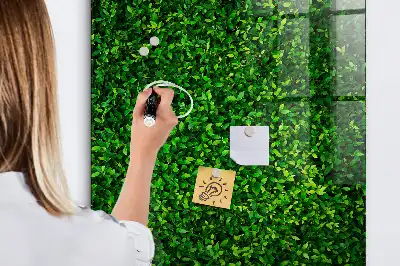 Magnettafel beschreibbar mit Blätterzaun-Design