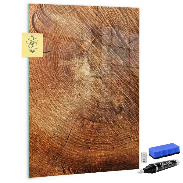 Beschreibbare Magnettafel in Form eines Baumstamm-Querschnitts