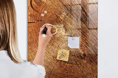 Beschreibbare Magnettafel in Form eines Baumstamm-Querschnitts