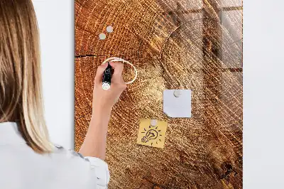Beschreibbare Magnettafel in Form eines Baumstamm-Querschnitts