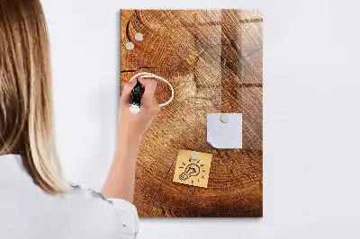 Beschreibbare Magnettafel in Form eines Baumstamm-Querschnitts