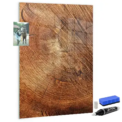Beschreibbare Magnettafel in Form eines Baumstamm-Querschnitts