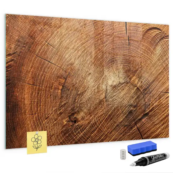 Beschreibbare Magnettafel für die Küche Motiv Alter Baumstamm