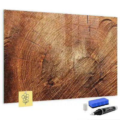 Beschreibbare Magnettafel für die Küche Motiv Alter Baumstamm