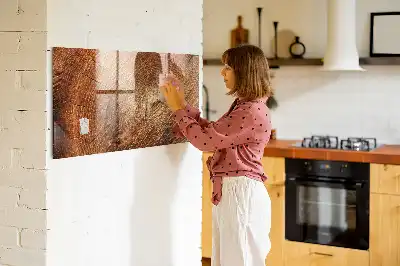 Beschreibbare Magnettafel für die Küche Motiv Alter Baumstamm
