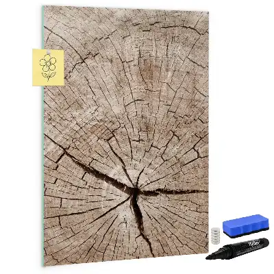 Magnettafel Baumstamm-Querschnitt zum Schreiben