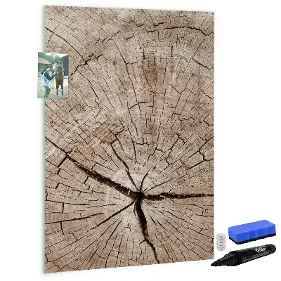 Magnettafel Baumstamm-Querschnitt zum Schreiben