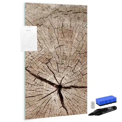 Magnettafel Baumstamm-Querschnitt zum Schreiben