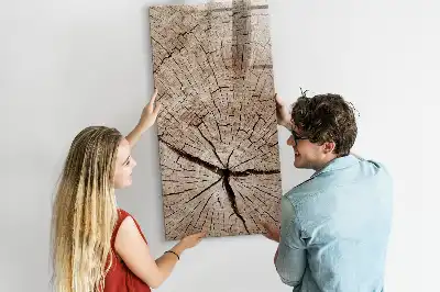 Magnettafel Baumstamm-Querschnitt zum Schreiben