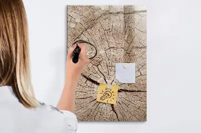 Magnettafel Baumstamm-Querschnitt zum Schreiben