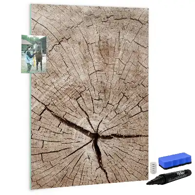 Magnettafel Baumstamm-Querschnitt zum Schreiben
