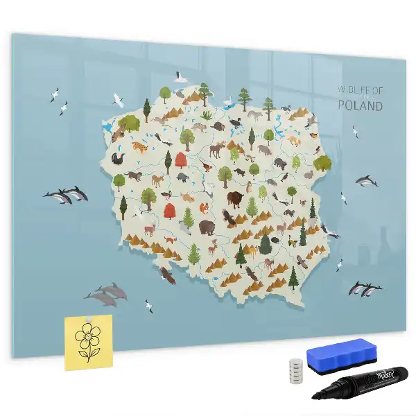 Beschreibbare Magnettafel mit einer Karte der Tiere Polens
