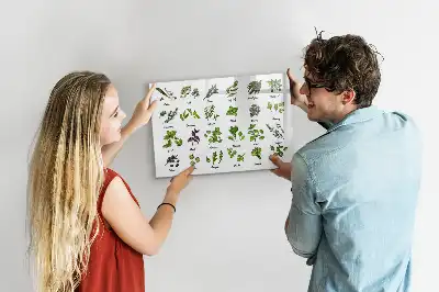 Schreib-Magnettafel mit dem Motiv Baumarten