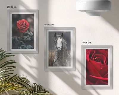 Fotowand Rote Rosen und ein Pferd in grauer Umgebung