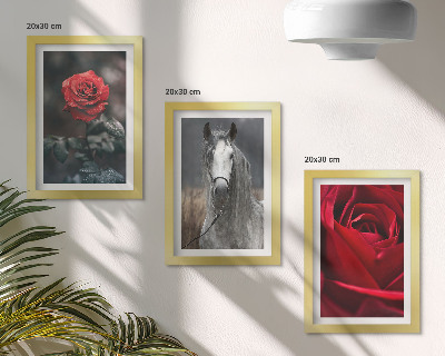 Fotowand Rote Rosen und ein Pferd in grauer Umgebung