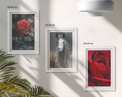 Fotowand Rote Rosen und ein Pferd in grauer Umgebung
