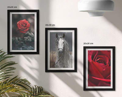 Fotowand Rote Rosen und ein Pferd in grauer Umgebung