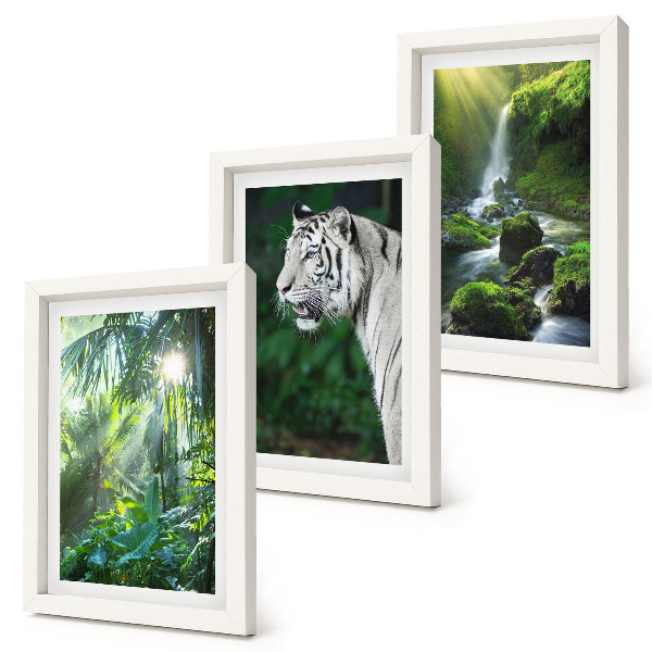 Fotowand Dschungel mit einem weißen Tiger und einem wilden Wasserfall