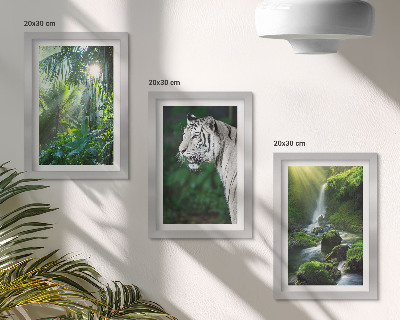 Fotowand Dschungel mit einem weißen Tiger und einem wilden Wasserfall