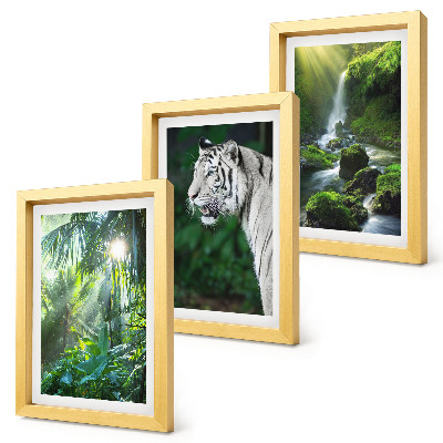 Fotowand Dschungel mit einem weißen Tiger und einem wilden Wasserfall