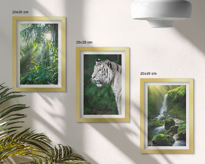 Fotowand Dschungel mit einem weißen Tiger und einem wilden Wasserfall