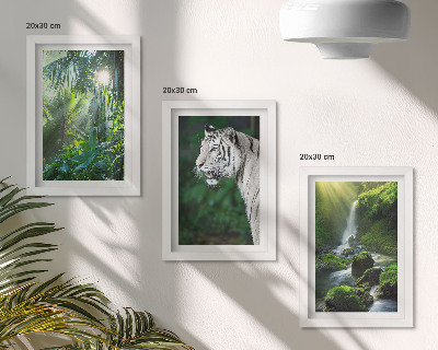 Fotowand Dschungel mit einem weißen Tiger und einem wilden Wasserfall